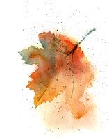 Fall Leaves II Fine Art Print