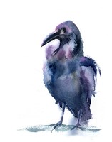 Crow IV Fine Art Print