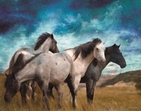 Starry Night Horse Herd Fine Art Print