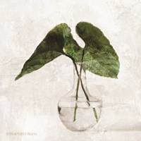 Stems in Glass Fine Art Print