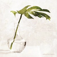 Single Green Stem in Glass Fine Art Print