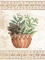 Southwest Terracotta Succulents I Fine Art Print