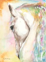 Sundance Fine Art Print