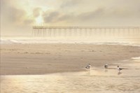 Ocean City Pier Fine Art Print