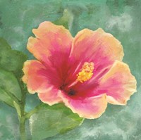 Hibiscus I Fine Art Print