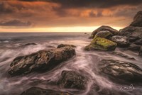 Simplicity Fine Art Print