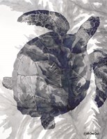 Ocean Collection 3 Fine Art Print