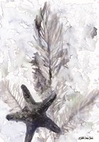 Ocean Collection 4 Fine Art Print