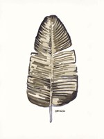 Modern Palm 1 Fine Art Print