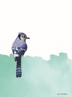 Bird on Blue Fine Art Print