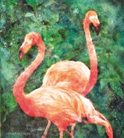 Flamingos Fine Art Print