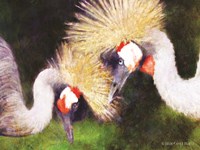 Two Cranes Fine Art Print