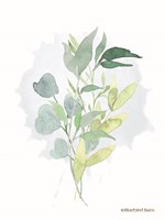 Watercolor Greenery Series II Fine Art Print