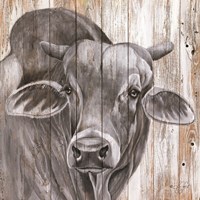 Eyes Wide Open Fine Art Print