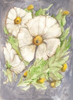 Mitilija Poppies Fine Art Print