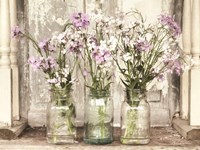 Roadside Beauties Fine Art Print