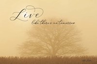 Live Like No Tomorrow Fine Art Print