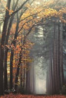 To Another World Fine Art Print