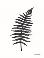 Watercolor Black Plant I Fine Art Print