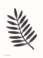 Watercolor Black Plant II Fine Art Print