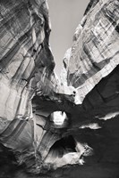 Neon Canyon I BW Fine Art Print