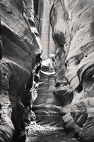 Buckskin Gulch IV BW Fine Art Print