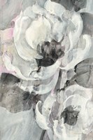 White Delight II Fine Art Print