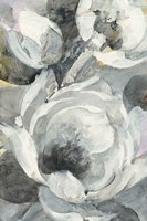 White Delight I Fine Art Print