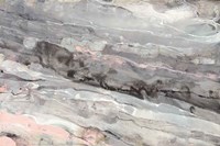 Albaster Blush Fine Art Print