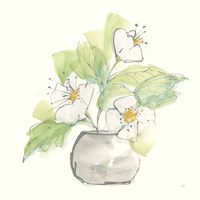 Plant Poppy I Fine Art Print