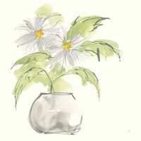 Plant Daisy I Fine Art Print
