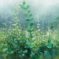 On the Trail Fine Art Print