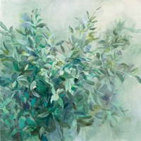 Bay Laurel Fine Art Print