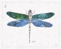 Outdoor Beauties IV Color Framed Print