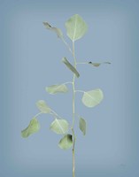 Simple Stems I Blue Crop Fine Art Print