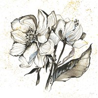 Elegance III Fine Art Print