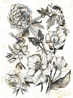 Elegance I Fine Art Print