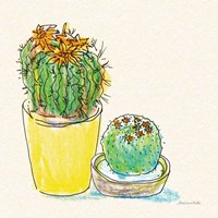 Cacti Garden IV Fine Art Print