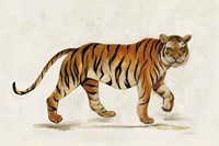 Walking Tiger Light Fine Art Print