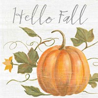Fall Splendor V Fine Art Print