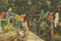 Florida Postcard II Fine Art Print