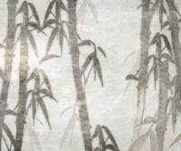 Misty Tree 4 Fine Art Print