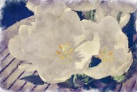 Summer Flowers Fine Art Print