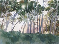 Inspirations Fine Art Print