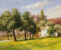 California Spring Fine Art Print