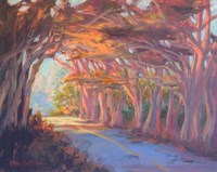Tree Tunnel Fine Art Print