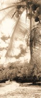 Equatorial Breeze II Fine Art Print