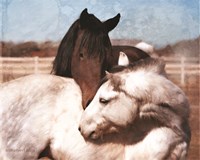 White and Chestnut Horses Fine Art Print