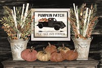 Pumpkin Patch Still Life Fine Art Print