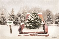 Rustic Christmas Trees Fine Art Print